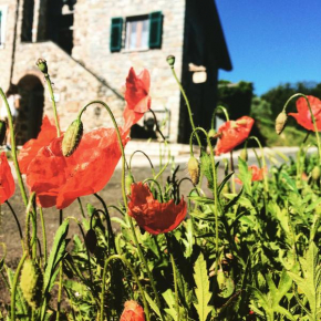 Agriturismo Angiò nel Cerè